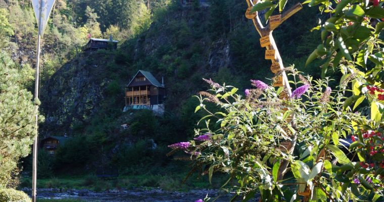 Cabins along the river