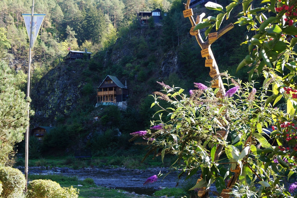 Cabins along the river